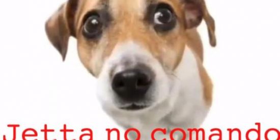 Imagem do grupo de WhatsApp Jetta zap zap o retorno