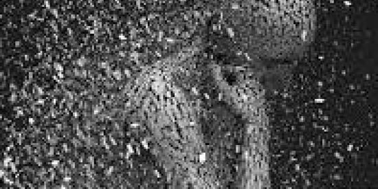 Imagem do grupo de WhatsApp Almas desesperadas