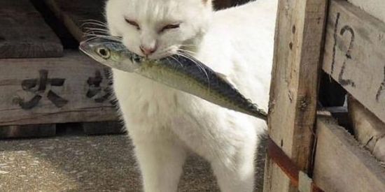 Imagem do grupo de WhatsApp  OREAΜ KiSS ❕❪饬❫ 🌷