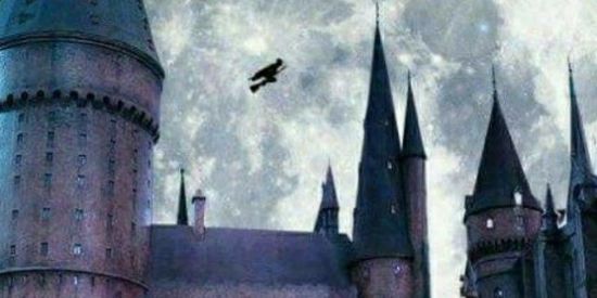 Imagem do grupo de WhatsApp Grupo Harry Potter