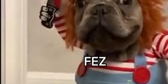 Imagem do grupo de WhatsApp Ben ti vi🐦