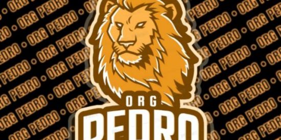 Imagem do grupo de WhatsApp RECRUTAMENTO COBALTO 🔥💙