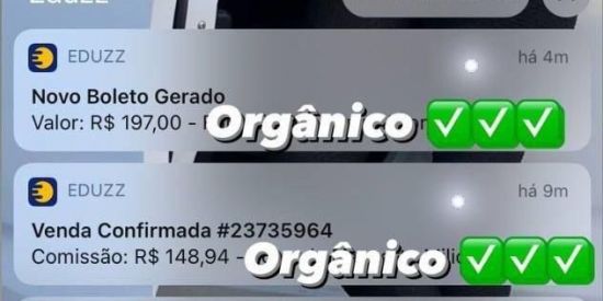 Imagem do grupo de WhatsApp Renda extra em casa