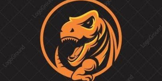 Imagem do grupo de WhatsApp 🔰TIM REX🔰