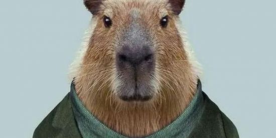 Imagem do grupo de WhatsApp Grupo complexo