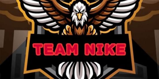 Imagem do grupo de WhatsApp Recrutamento TEAM⚡NIKE