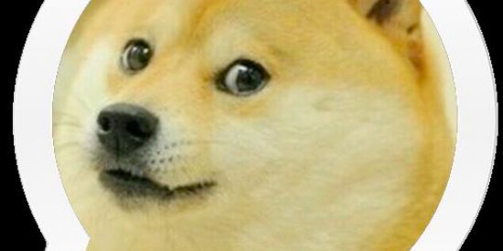 Imagem do grupo de WhatsApp Ain q delicinha♥️✊🏻