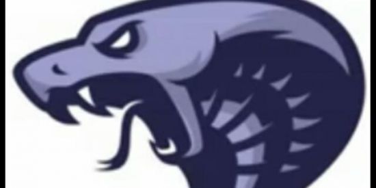 Imagem do grupo de WhatsApp FTMA_MAFIA