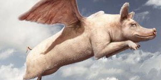 Imagem do grupo de WhatsApp ✨MANICÔMIO ✨