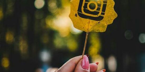 Imagem do grupo de WhatsApp Trocar de seguidores