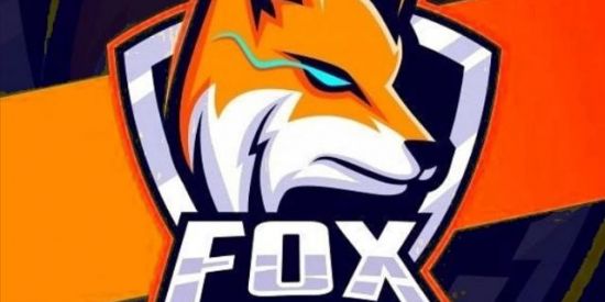 Imagem do grupo de WhatsApp OFICIAL FOX🦊