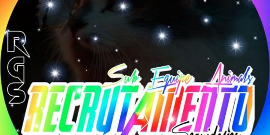 Imagem do grupo de WhatsApp Recrutamento rg's✨