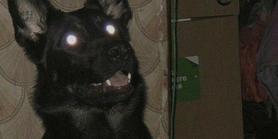 Imagem do grupo de WhatsApp ➫FABRICANTES DE PROBLEMA