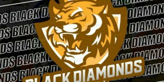 Imagem do grupo de WhatsApp 🐯RECRUTAMENTO •ÐƁ'ร•🐯