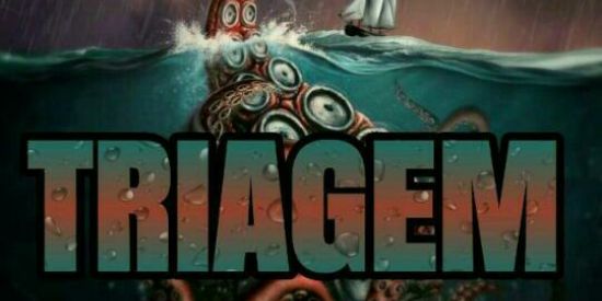 Imagem do grupo de WhatsApp 🐍 TRIAGEM TI'ร 🐍