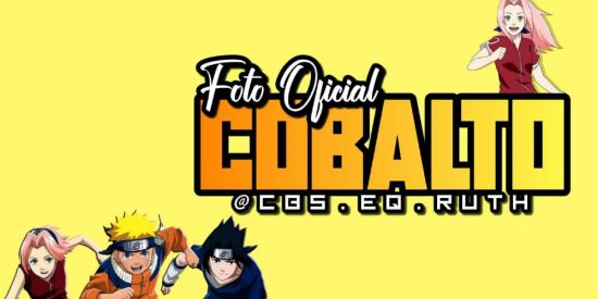 Imagem do grupo de WhatsApp Seguidores