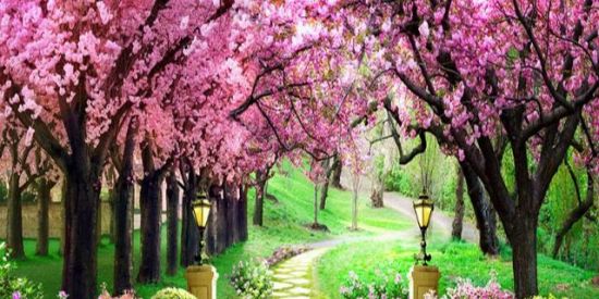 Imagem do grupo de WhatsApp Amor e magia rpg