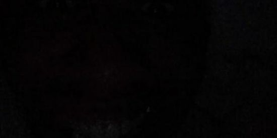 Imagem do grupo de WhatsApp • SHIT DO FRANGOLINO 🐔 •