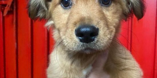 Imagem do grupo de WhatsApp Wallpaper HD 😎