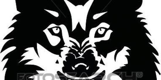 Imagem do grupo de WhatsApp LOBOS GUARÁ #LB