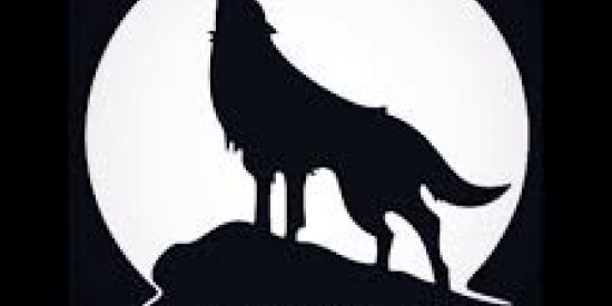 Imagem do grupo de WhatsApp Zoeira e memes masculinos