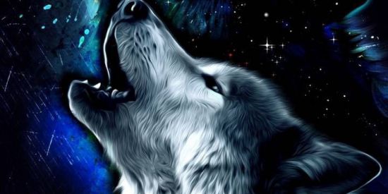 Imagem do grupo de WhatsApp Bonde kings wolf's