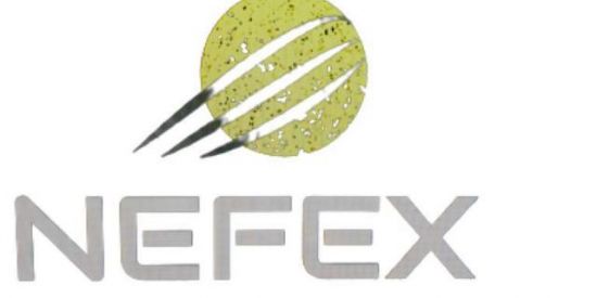 Imagem do grupo de WhatsApp RECRUTAMENTO NFX