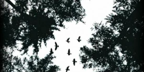 Imagem do grupo de WhatsApp Só os amigos (a)