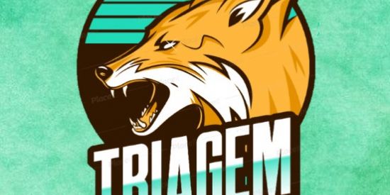 Imagem do grupo de WhatsApp 🦁 TRIAGEM EG1 ♚ɪғ'x♚ 🦁