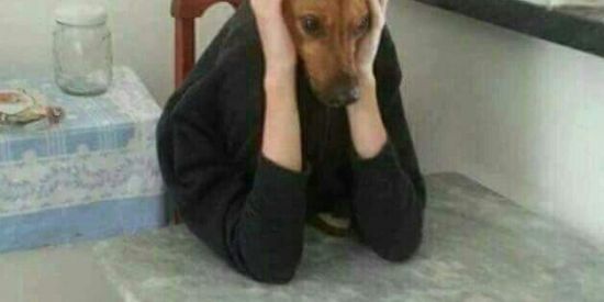 Imagem do grupo de WhatsApp 40TENA+TEDIO VOL2