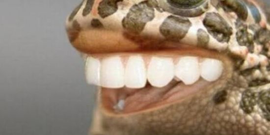 Imagem do grupo de WhatsApp ✌🏻😈Vamos Que Vamos 3.0✌🏻😈🤪😎