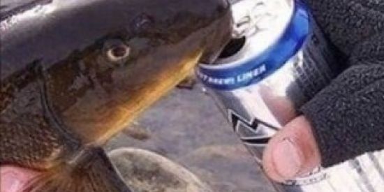 Imagem do grupo de WhatsApp Uncensored Sacro Arquivos