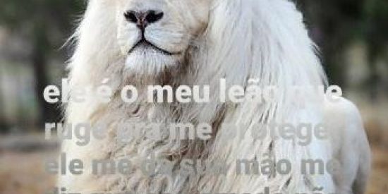 Imagem do grupo de WhatsApp Jesus Christ