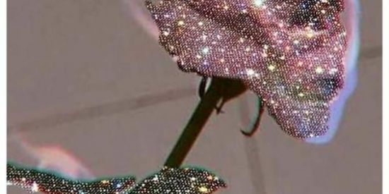 Imagem do grupo de WhatsApp Seguidores grátis 😎😍