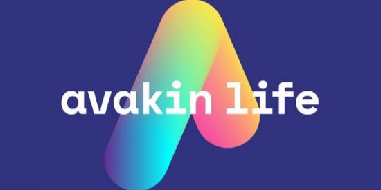 Imagem do grupo de WhatsApp Avakin life
