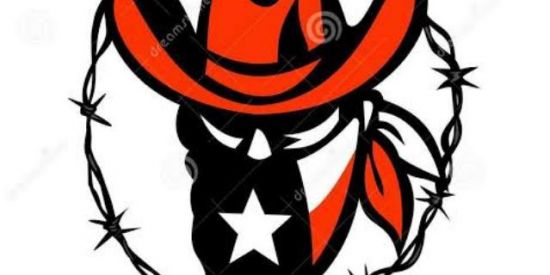 Imagem do grupo de WhatsApp Fora da lei