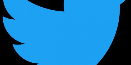 Imagem do grupo de WhatsApp divulga twitter