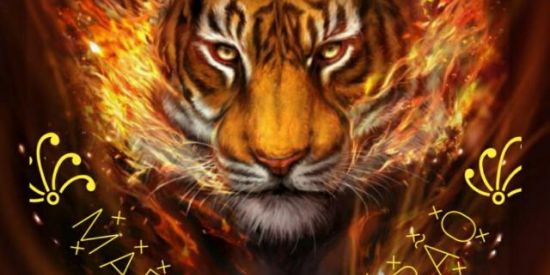 Imagem do grupo de WhatsApp Destraba elite