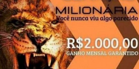 Imagem do grupo de WhatsApp 💰Geração Milionária💰