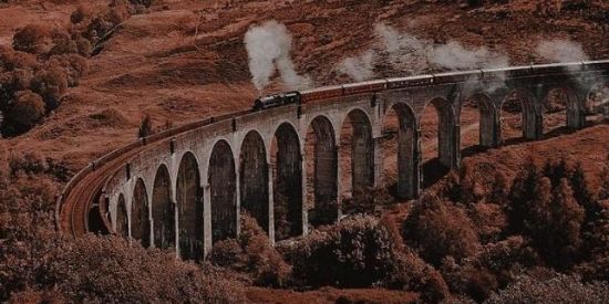 Imagem do grupo de WhatsApp ☽Hᴀʀʀʏ Pᴏᴛᴛᴀʜ☾