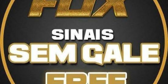 Imagem do grupo de WhatsApp FOX SINAIS SEM GALE🦊