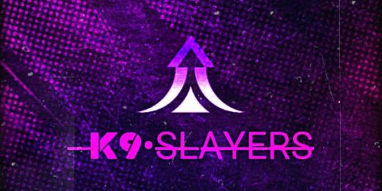 Imagem do grupo de WhatsApp K9 RECRUTAMENTO FEMININO