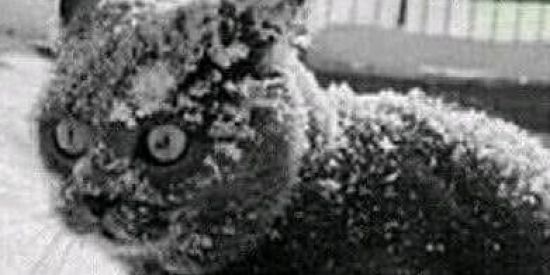 Imagem do grupo de WhatsApp Resenha horas 🤜🏻🤛🏻