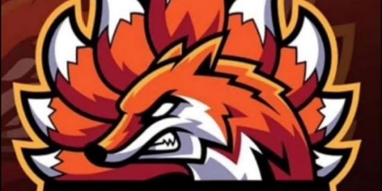 Imagem do grupo de WhatsApp Fox free fire