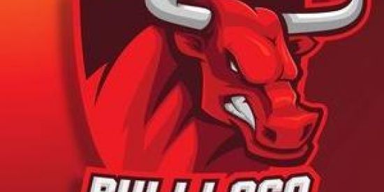 Imagem do grupo de WhatsApp 🦬BÚLLS TRADER FRRE🦬