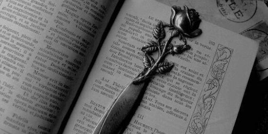 Imagem do grupo de WhatsApp ⌑яρg⚚⌑ ~ ⚜ Dαɾƙ αɳԃ Mαϝιαɳʂ ⚜