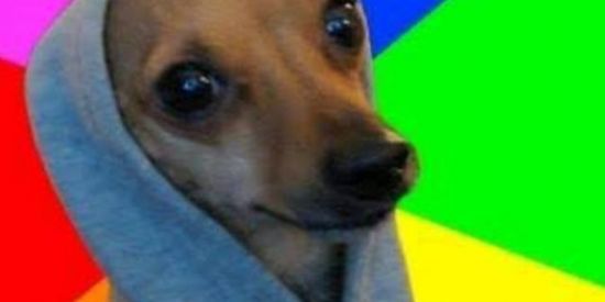 Imagem do grupo de WhatsApp Zuera sem limitis🤣🤣🤣🤣