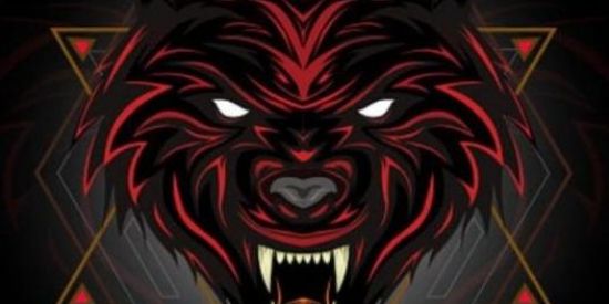 Imagem do grupo de WhatsApp 🔥triagem alpha🔥