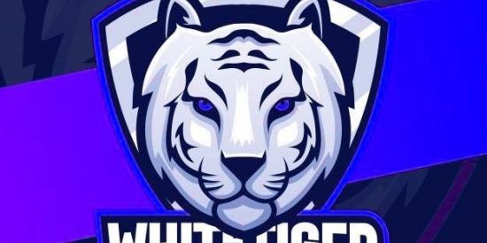 Imagem do grupo de WhatsApp 01🐯wнιтє тιиgєя •✧ʀɗkร✧