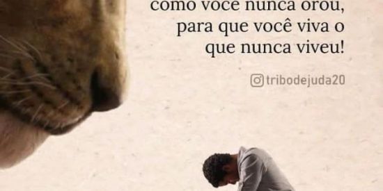 Imagem do grupo de WhatsApp *verdadeiros adoradores*